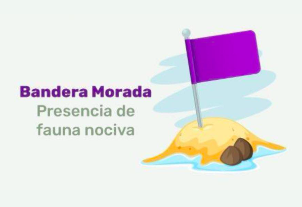 Purple Flag Raised at Flamingos Beach
