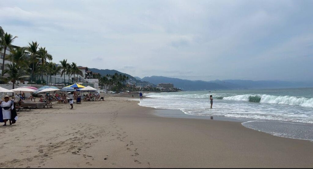 Red Flag Remains in Effect at Playa Holly Due to Wildlife